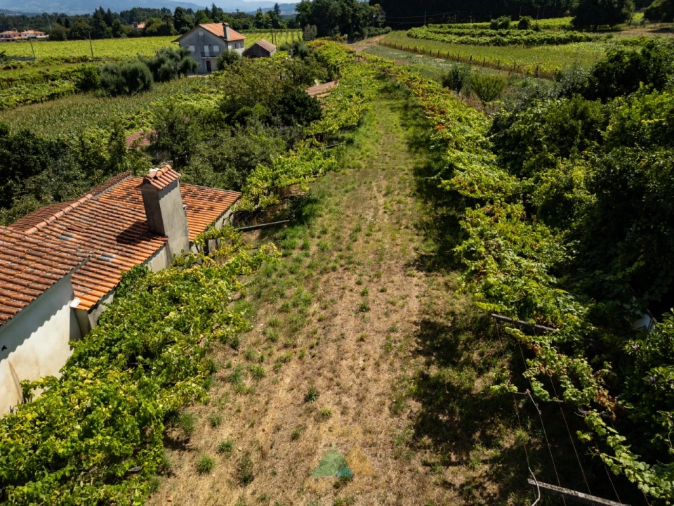 Terreno para Venda em Vitorino das Donas Foto 30