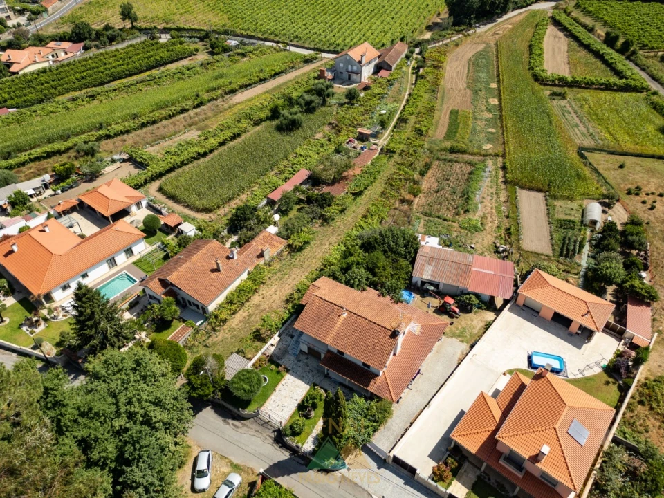 Terreno para Venda em Vitorino das Donas Foto 33