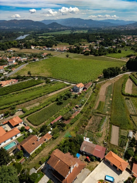 Terreno para Venda em Vitorino das Donas