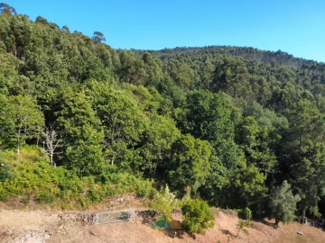 Moradia T3 para Venda em Durrães e Tregosa