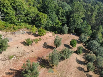 Moradia T3 para Venda em Durrães e Tregosa