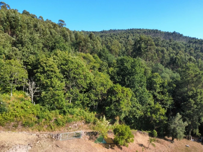 Moradia T3 para Venda em Durrães e Tregosa Foto 25