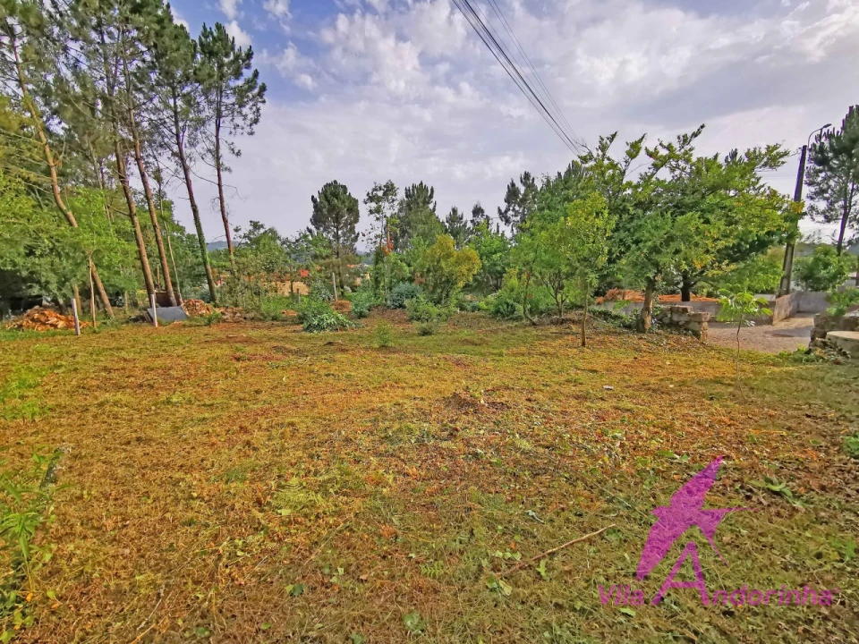 Terreno para Venda em Cardielos e Serreleis Foto 1