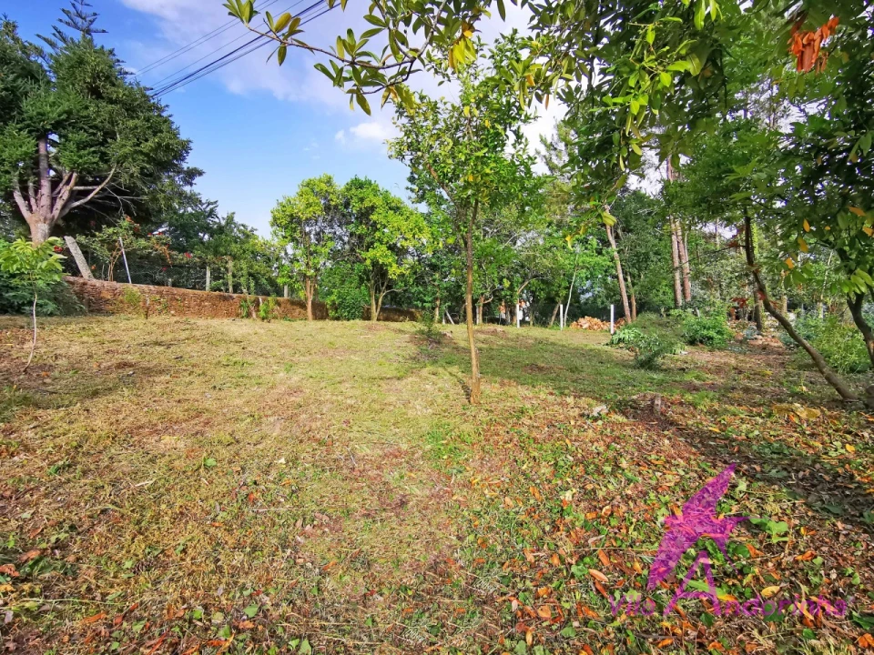 Terreno para Venda em Cardielos e Serreleis Foto 4