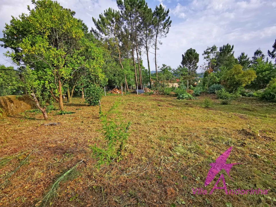 Terreno para Venda em Cardielos e Serreleis Foto 5