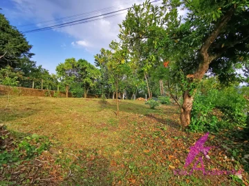 Terreno para Venda em Cardielos e Serreleis