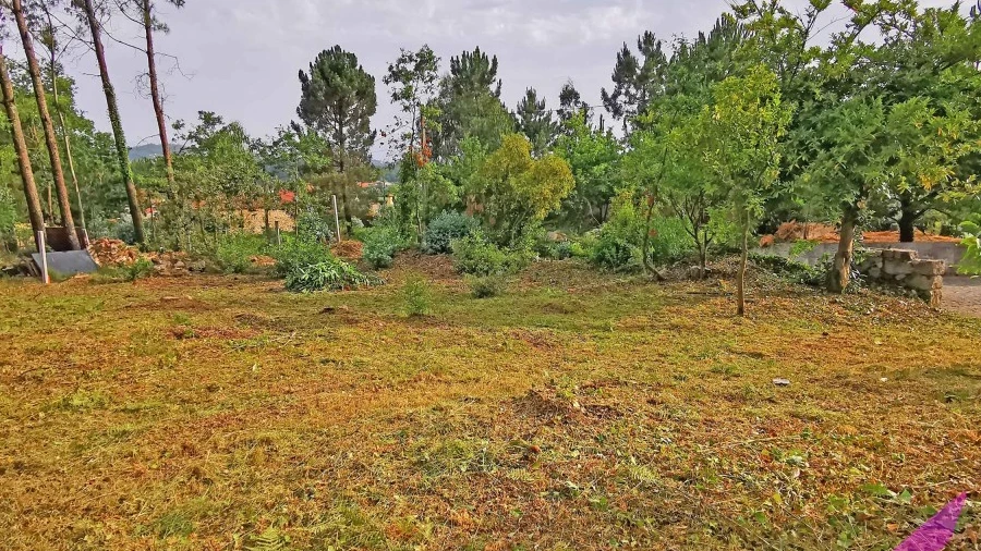 Terreno para Venda em Cardielos e Serreleis