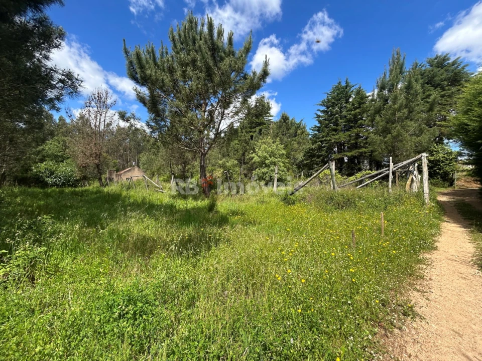 Terreno para Venda em Ferreira do Zezere Foto 3