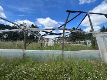Terreno para Venda em Ferreira do Zezere