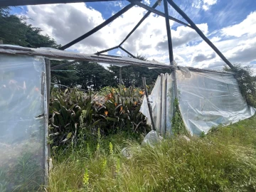Terreno para Venda em Ferreira do Zezere