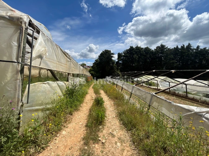 Terreno para Venda em Ferreira do Zezere Foto 2