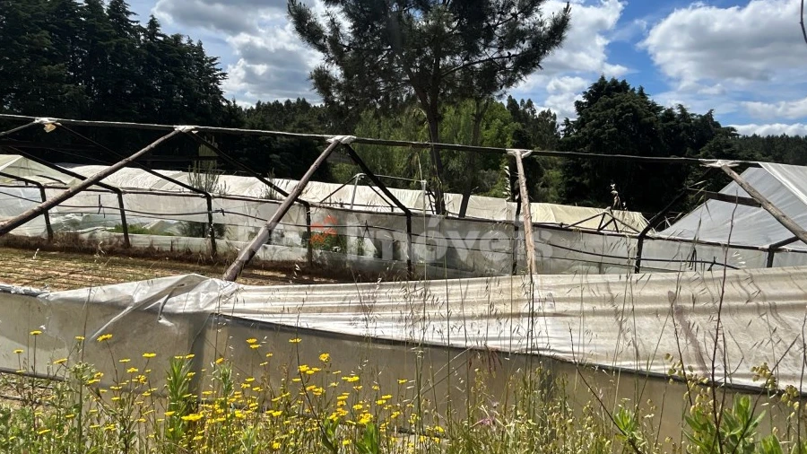 Terreno para Venda em Ferreira do Zezere