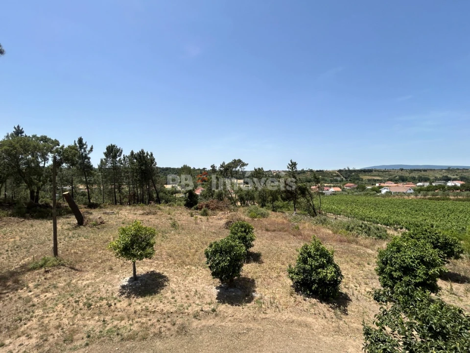 Moradia T3 para Venda em Madalena e Beselga Foto 31