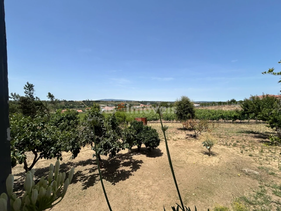 Moradia T3 para Venda em Madalena e Beselga Foto 55