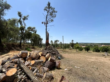 Moradia T3 para Venda em Madalena e Beselga