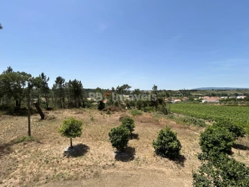 Moradia T3 para Venda em Madalena e Beselga