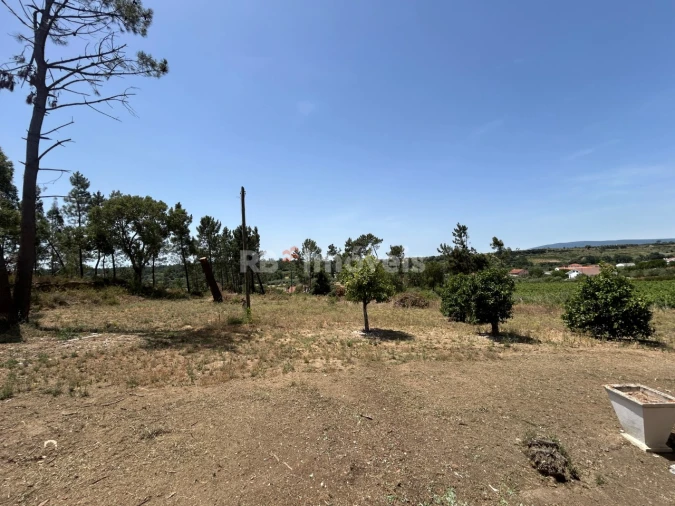 Moradia T3 para Venda em Madalena e Beselga Foto 46