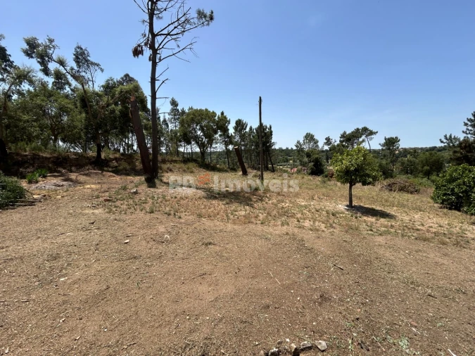 Moradia T3 para Venda em Madalena e Beselga Foto 47