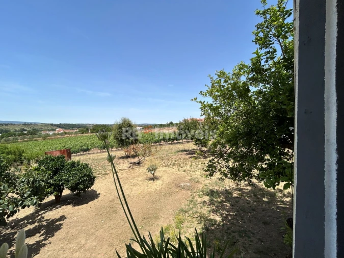 Moradia T3 para Venda em Madalena e Beselga Foto 52