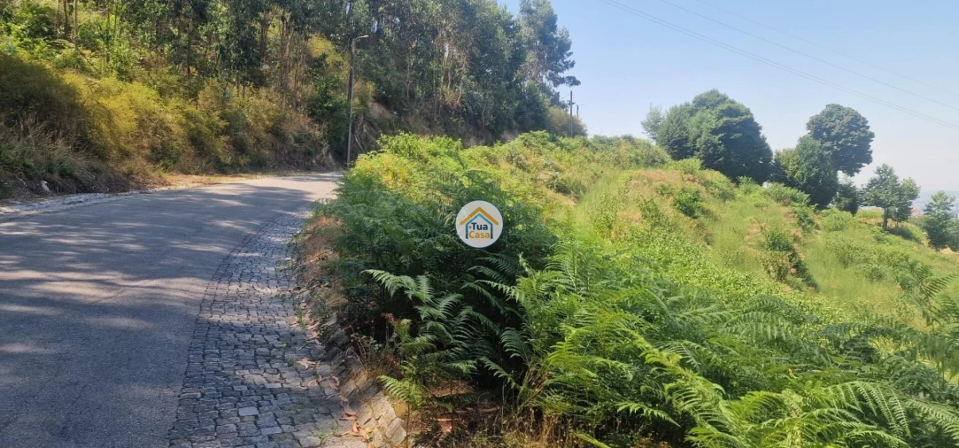 Terreno para Venda em Aião Foto 5