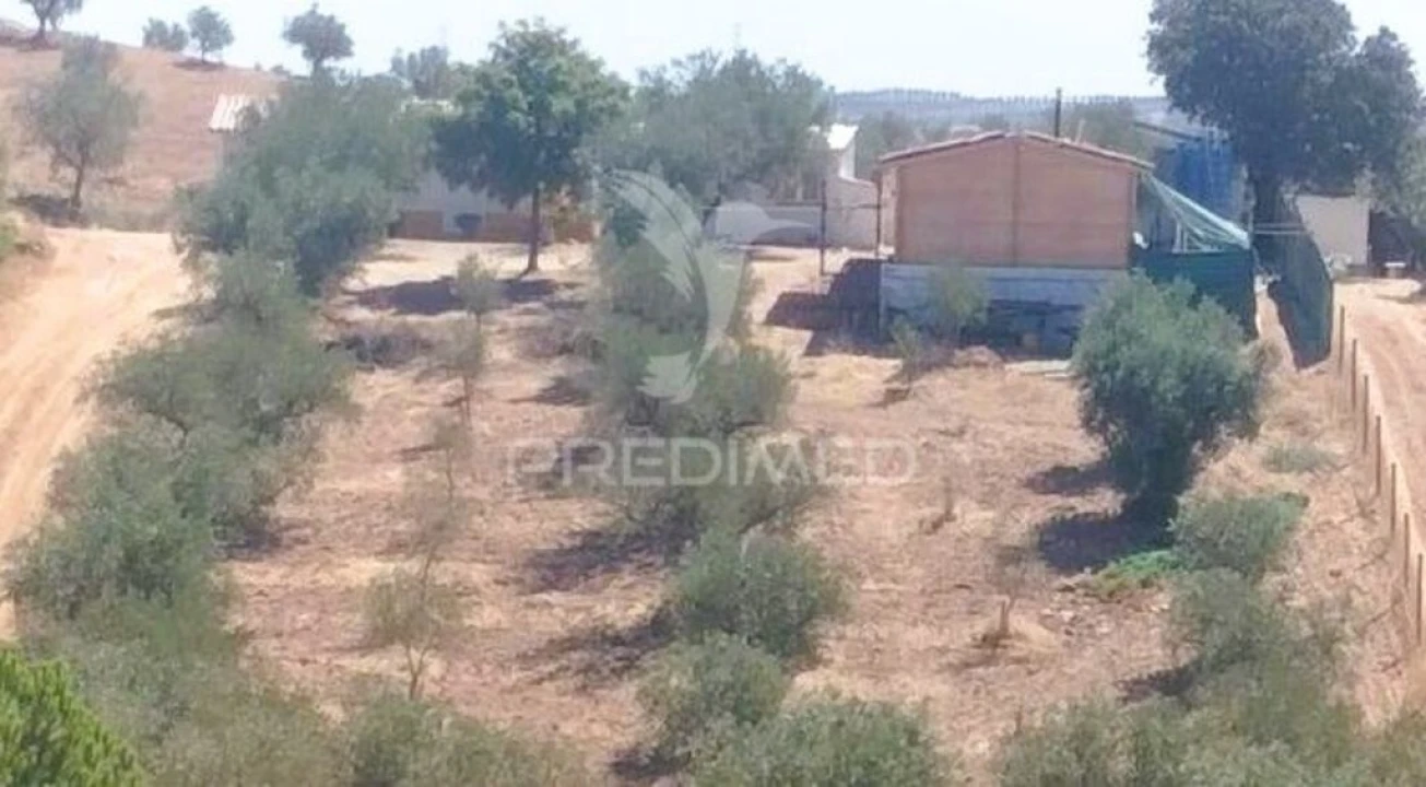 Quinta T2 para Venda em Amieira e Alqueva Foto 7