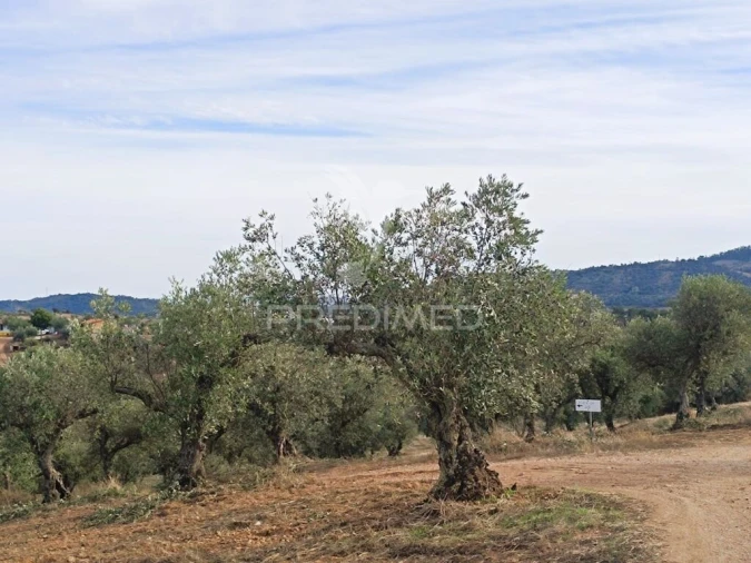 Quinta T2 para Venda em Amieira e Alqueva Foto 10