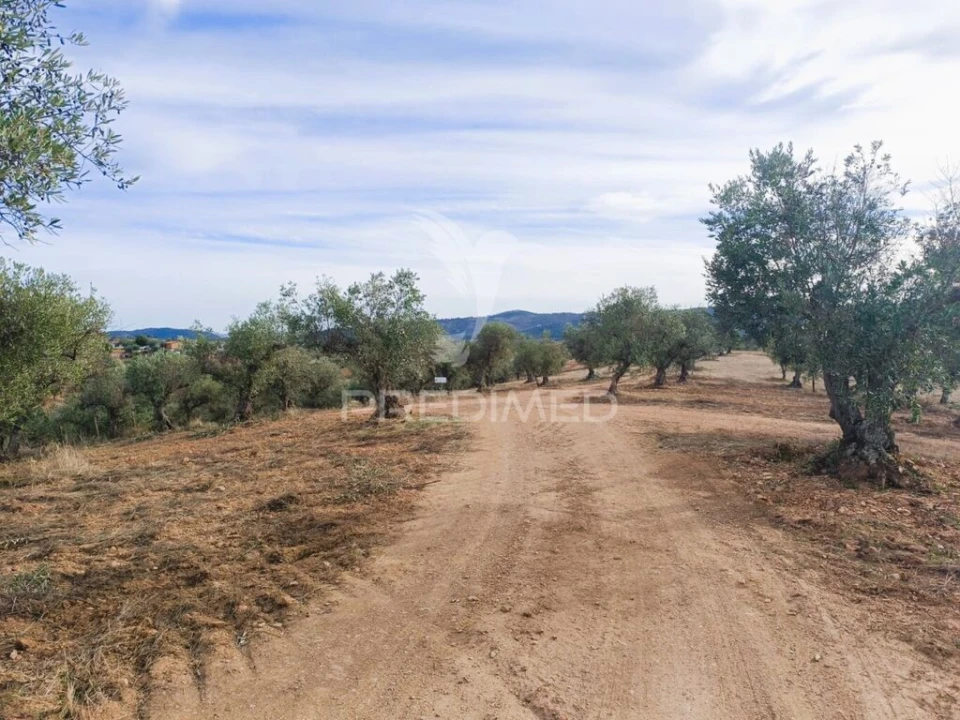 Quinta T2 para Venda em Amieira e Alqueva Foto 9