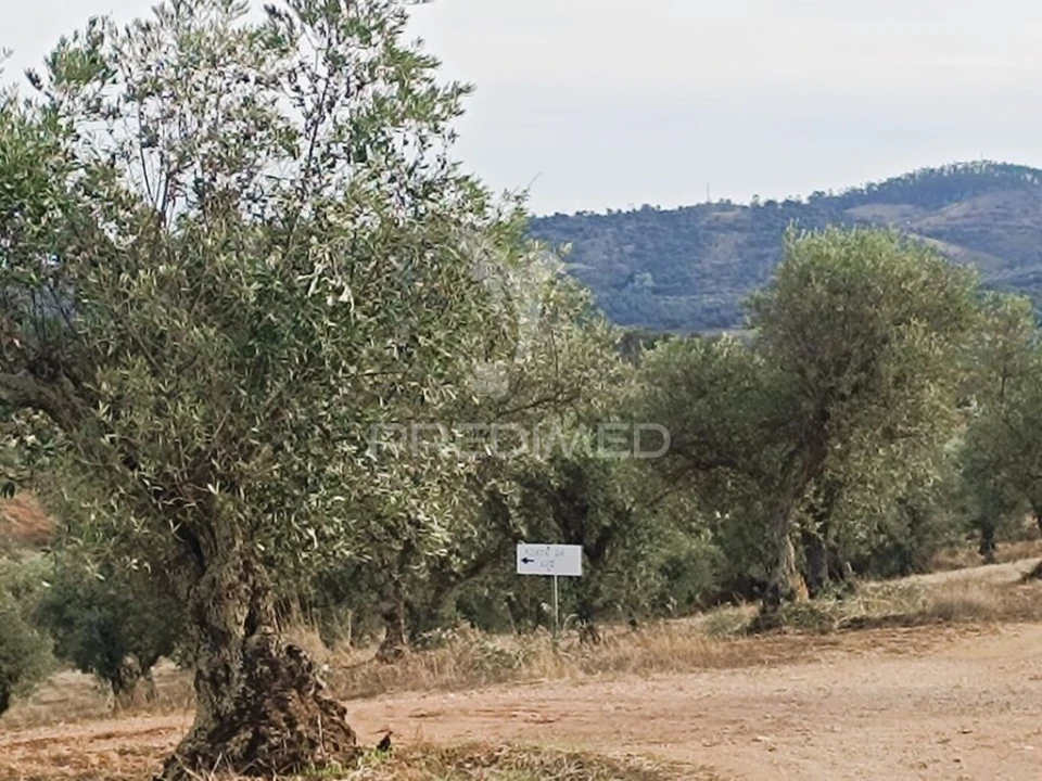 Quinta T2 para Venda em Amieira e Alqueva Foto 11