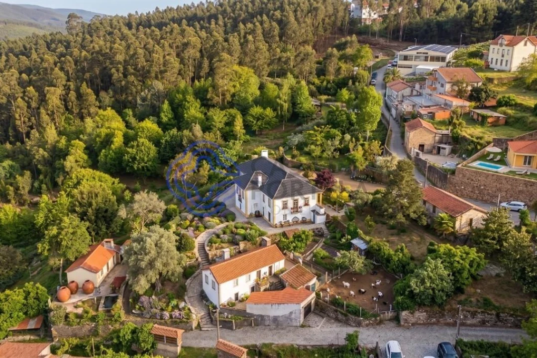 Quinta T5 para Venda em Pinheiro da Bemposta, Travanca e Palmaz Foto 26