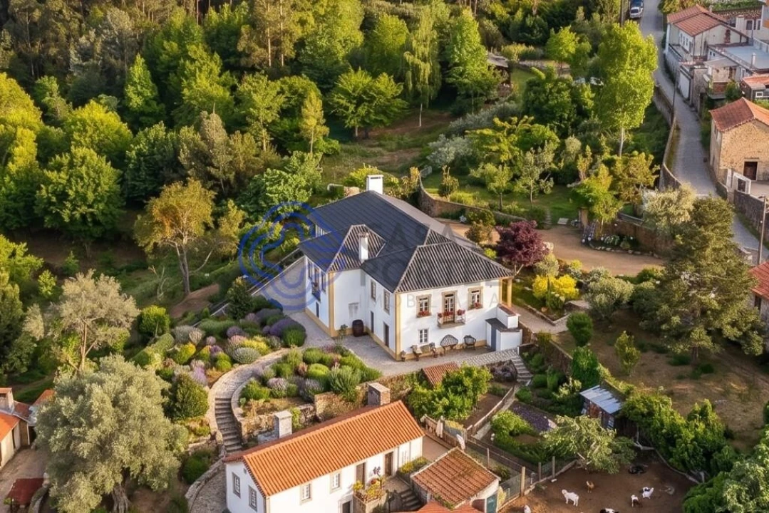 Quinta T5 para Venda em Pinheiro da Bemposta, Travanca e Palmaz Foto 27
