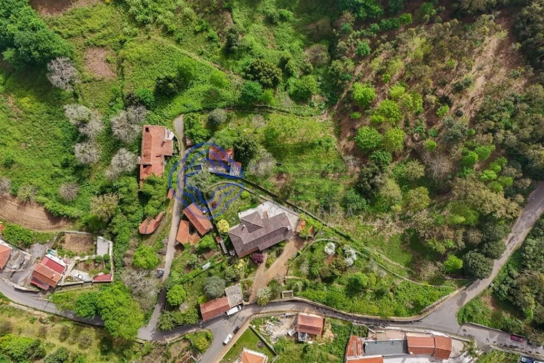 Quinta T5 para Venda em Pinheiro da Bemposta, Travanca e Palmaz Foto 29