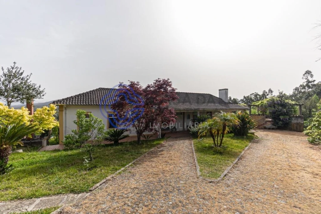 Quinta T5 para Venda em Pinheiro da Bemposta, Travanca e Palmaz Foto 39