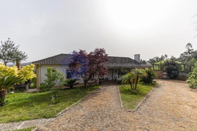 Quinta T5 para Venda em Pinheiro da Bemposta, Travanca e Palmaz