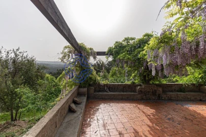Quinta T5 para Venda em Pinheiro da Bemposta, Travanca e Palmaz