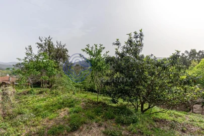 Quinta T5 para Venda em Pinheiro da Bemposta, Travanca e Palmaz