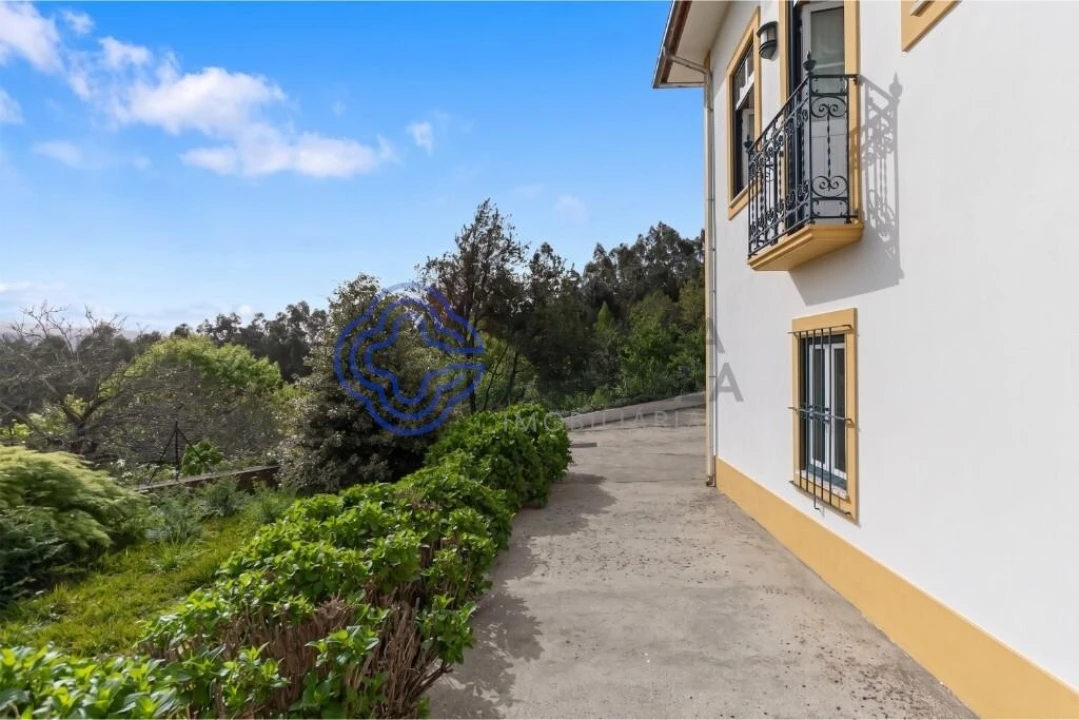 Quinta T5 para Venda em Pinheiro da Bemposta, Travanca e Palmaz Foto 4