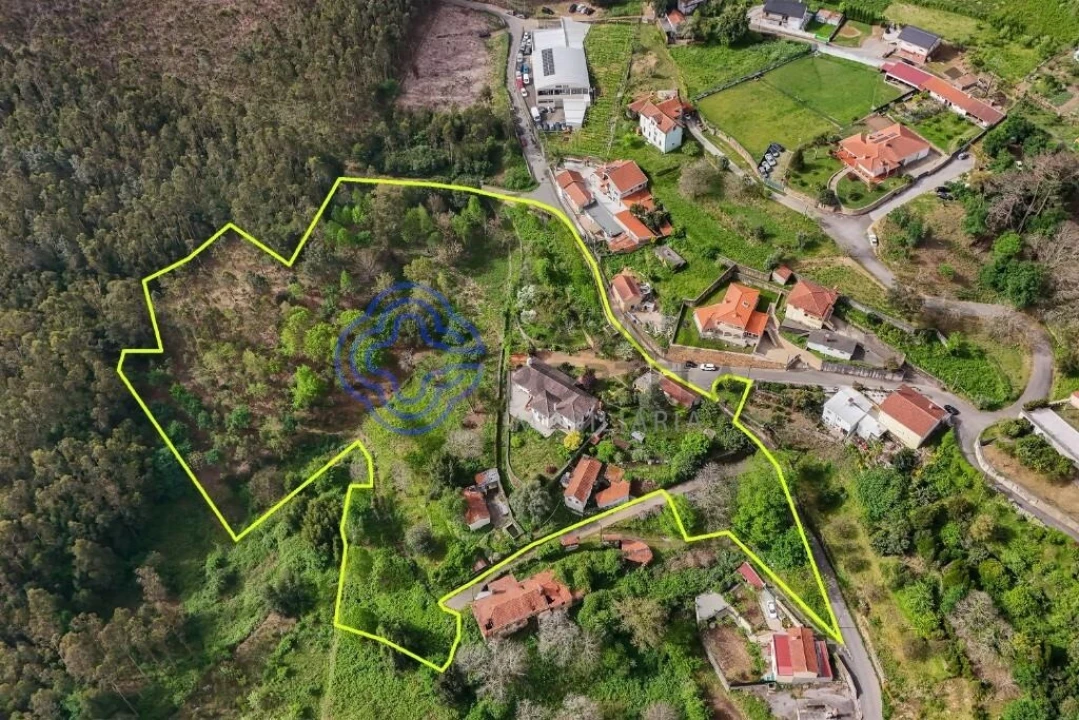 Quinta T5 para Venda em Pinheiro da Bemposta, Travanca e Palmaz Foto 32