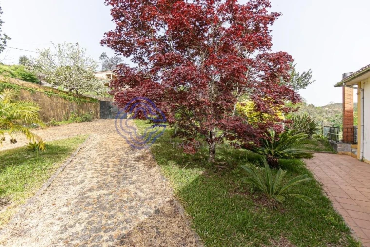 Quinta T5 para Venda em Pinheiro da Bemposta, Travanca e Palmaz Foto 45