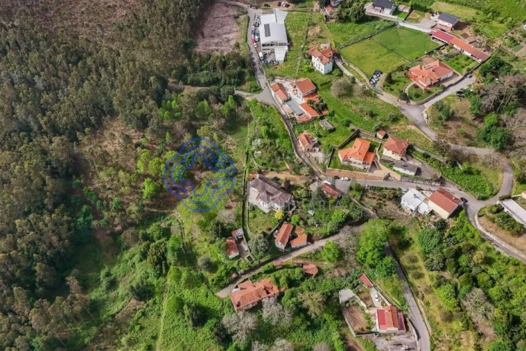 Quinta T5 para Venda em Pinheiro da Bemposta, Travanca e Palmaz Foto 31