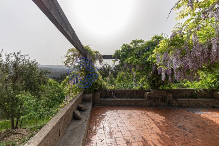 Quinta T5 para Venda em Pinheiro da Bemposta, Travanca e Palmaz Foto 41