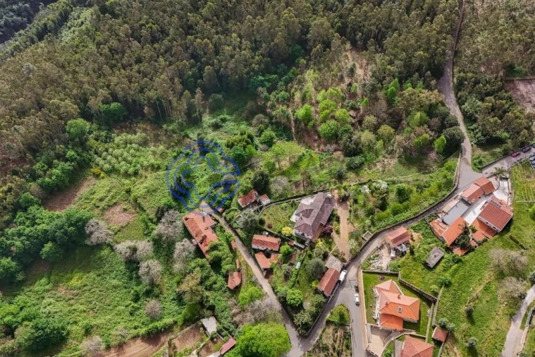 Quinta T5 para Venda em Pinheiro da Bemposta, Travanca e Palmaz Foto 30