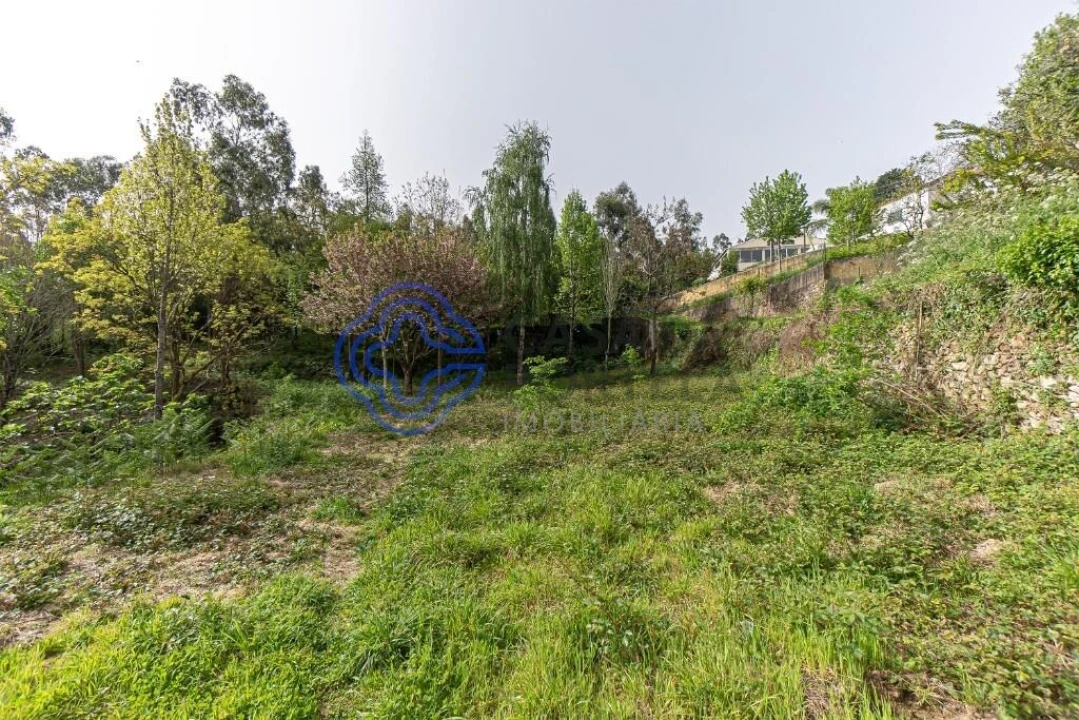 Quinta T5 para Venda em Pinheiro da Bemposta, Travanca e Palmaz Foto 5
