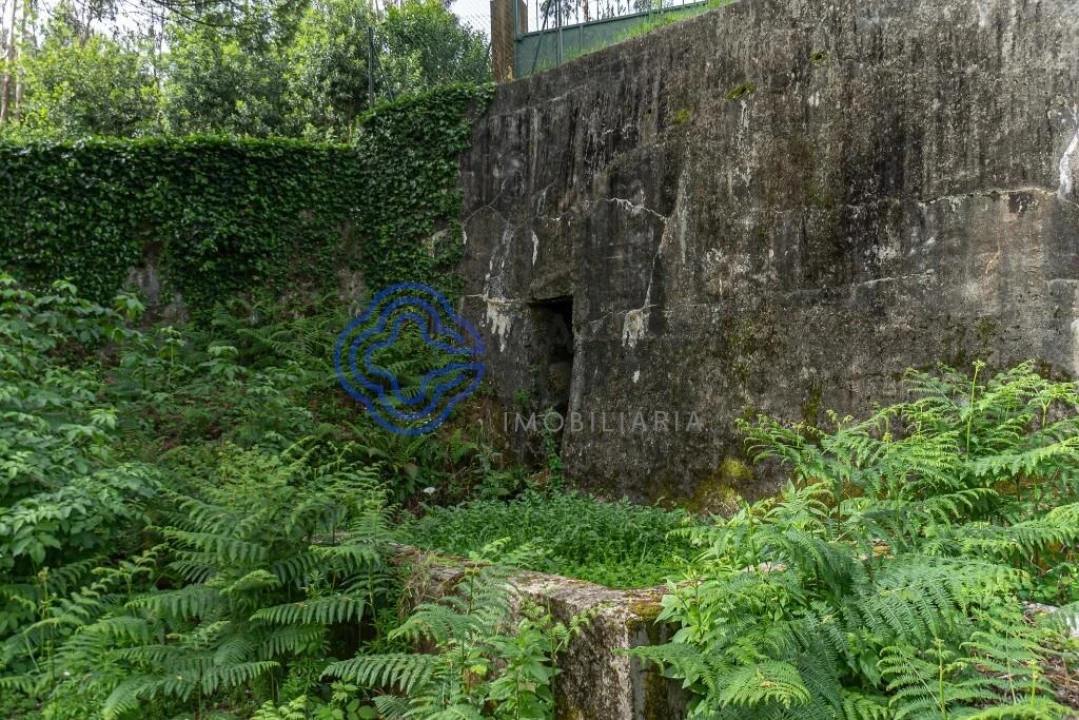Quinta T5 para Venda em Pinheiro da Bemposta, Travanca e Palmaz Foto 42