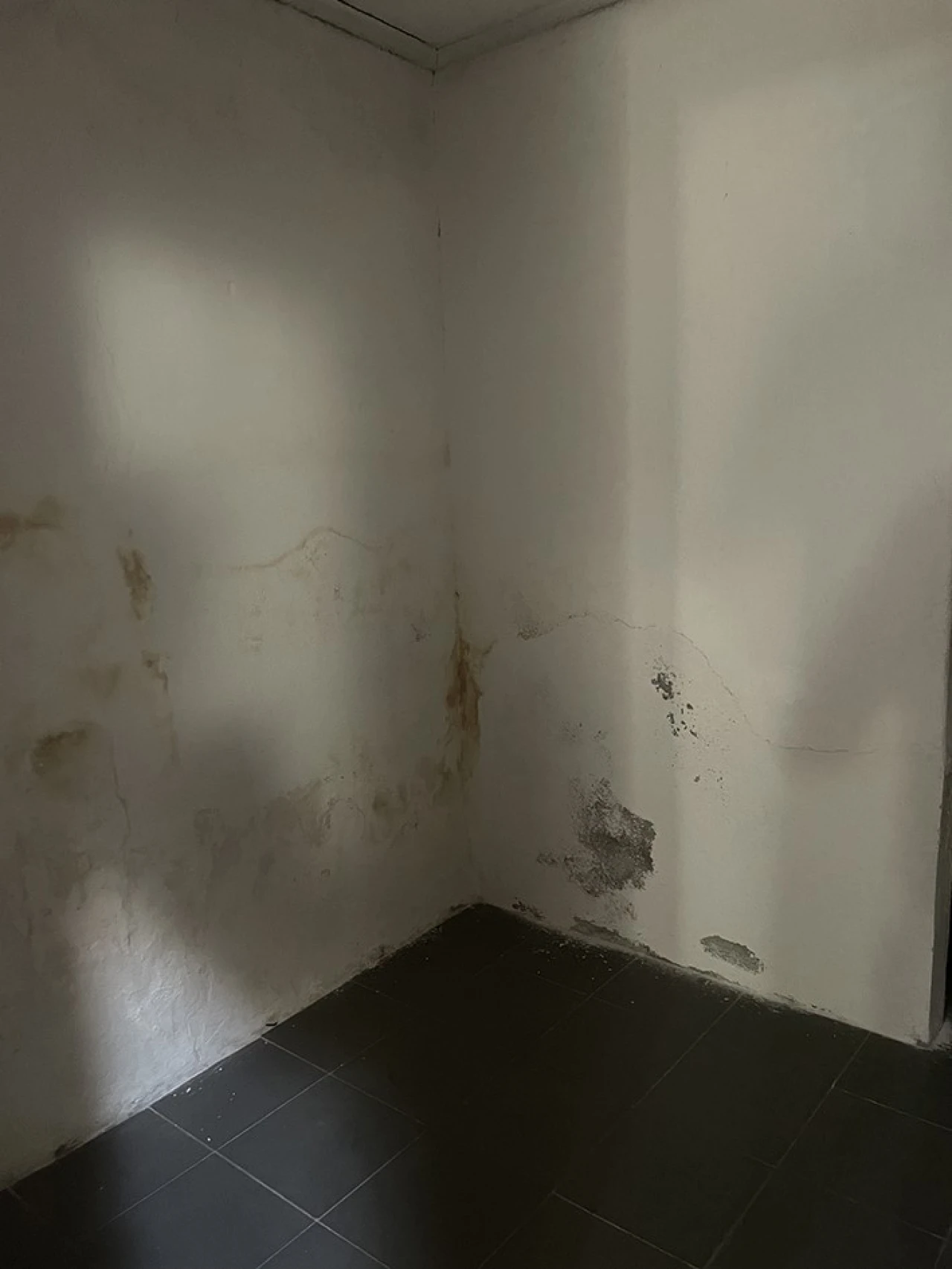Moradia T3 para Venda em Ponte de Sor, Tramaga e Vale de Açor Foto 7