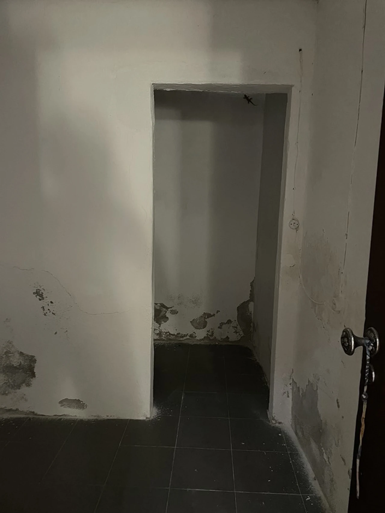 Moradia T3 para Venda em Ponte de Sor, Tramaga e Vale de Açor Foto 8