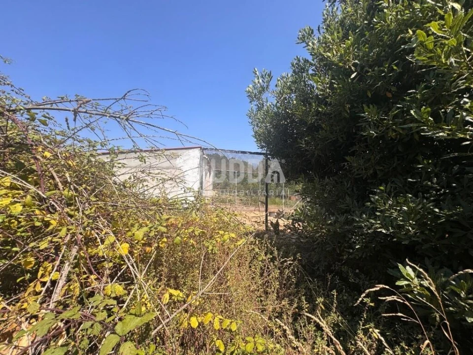 Moradia T2 para Venda em Ovar, São João, Arada e São Vicente de Pereira Jusã Foto 7