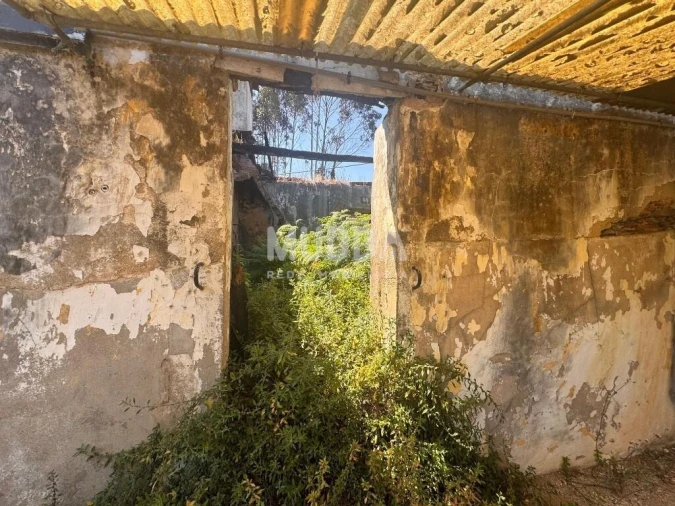 Moradia T2 para Venda em Ovar, São João, Arada e São Vicente de Pereira Jusã Foto 4