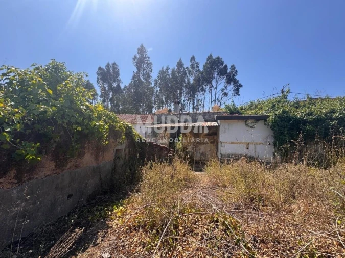 Moradia T2 para Venda em Ovar, São João, Arada e São Vicente de Pereira Jusã Foto 6
