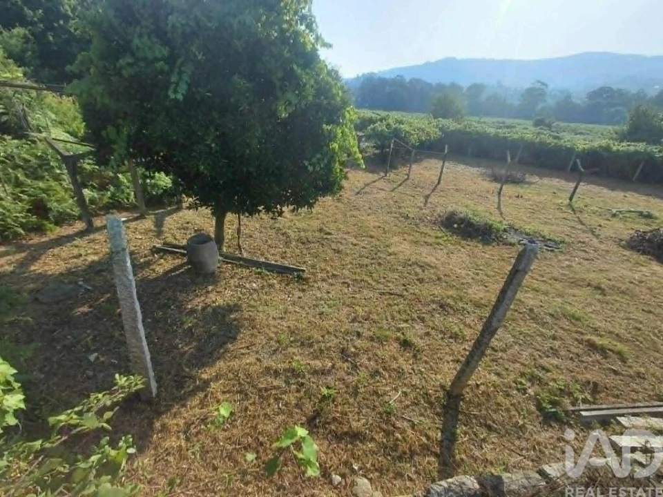 Terreno para Venda em Prado e Remoães Foto 3