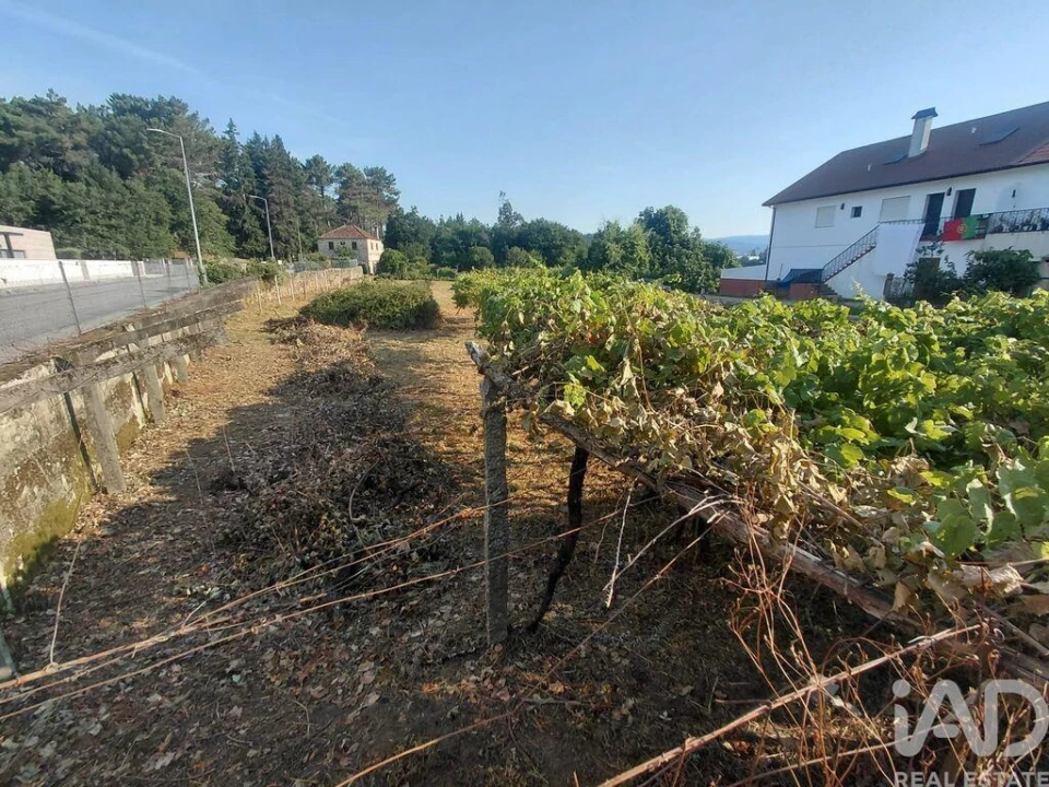 Terreno para Venda em Prado e Remoães Foto 5